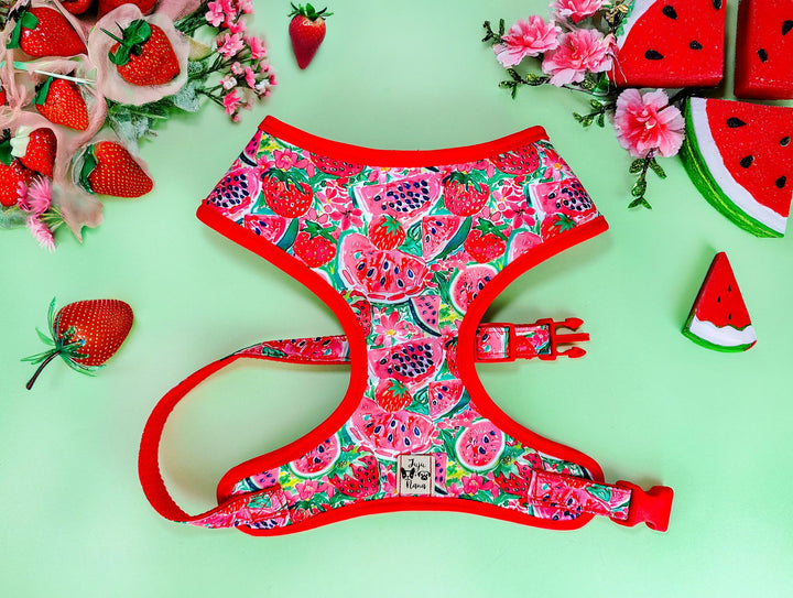Preppy watermelon and strawberry dog harness