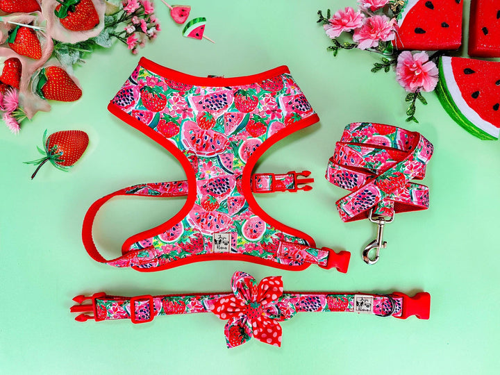 Preppy watermelon and strawberry dog harness
