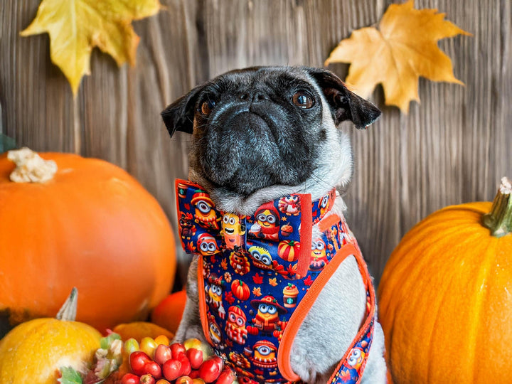 Dog collar with bow tie - Thanksgiving Minions