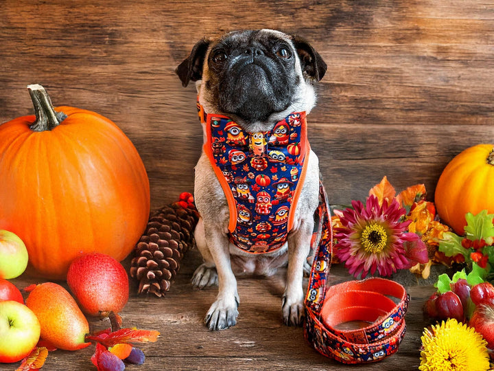 Fall dog harness - Thanksgiving Minions
