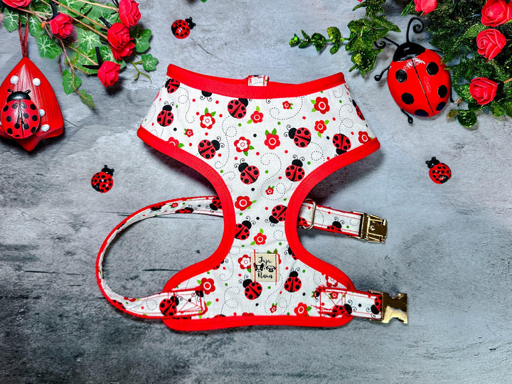 Dog harness - ladybug and flower