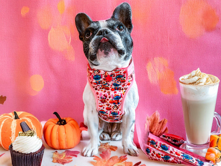 Fall dog harness - Thanksgiving Stitches