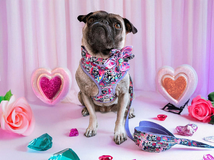 Valentine dog harness - nightmare