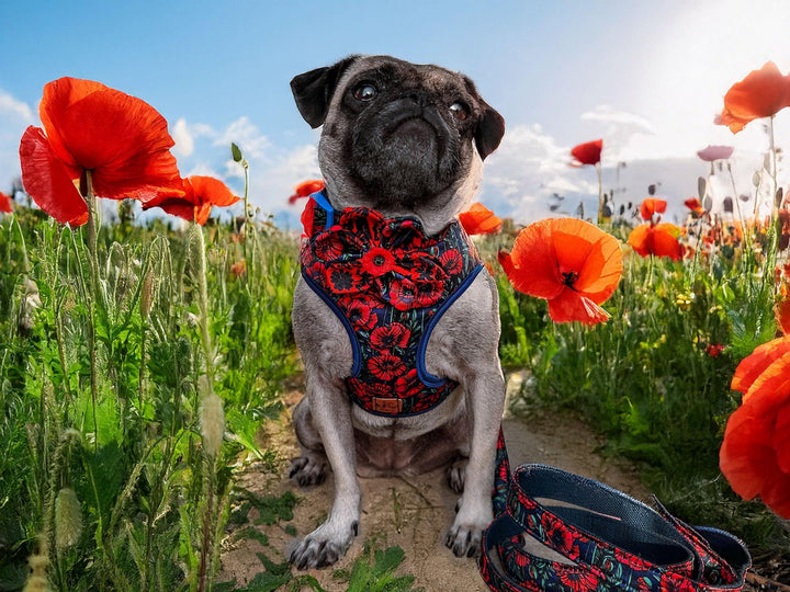 Girl Floral dog harness leash set/ purple rose flower dog harness vest/ female mum poppy dog harness and lead/ boho soft fabric harness