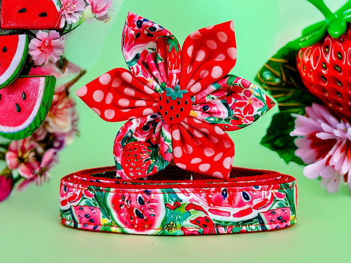 Dog collar with flower - Preppy strawberry and watermelon