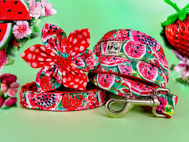 Dog collar with flower - Preppy strawberry and watermelon