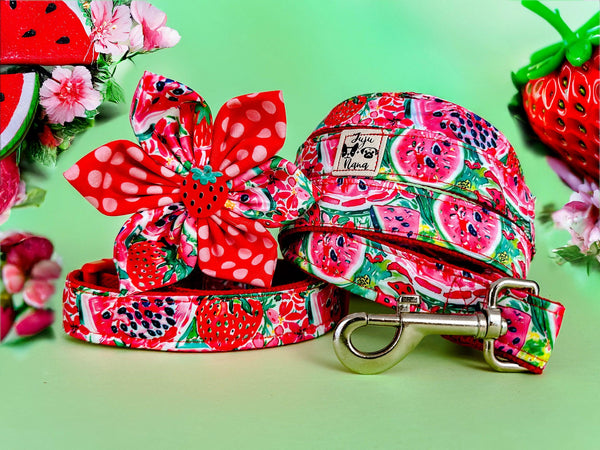 Preppy watermelon strawberries Floral dog collar leash set/ flower dog collar and lead/ female large dog collar/ Small puppy collar