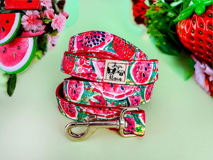 preppy Strawberry watermelon dog collar/ daisy flower girl dog collar/ floral food fruit dog collar/ large small dog collar/ puppy collar