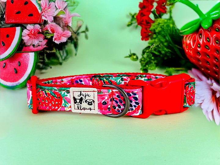 preppy Strawberry watermelon dog collar/ daisy flower girl dog collar/ floral food fruit dog collar/ large small dog collar/ puppy collar