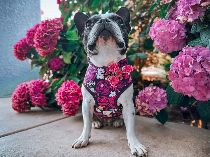 Dog harness - Purple Boho Roses