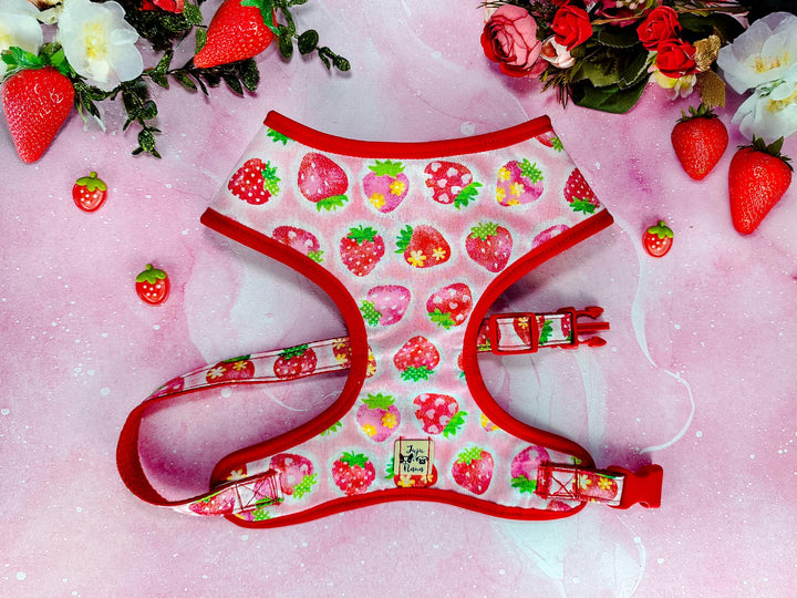dog harness - Strawberry and flower