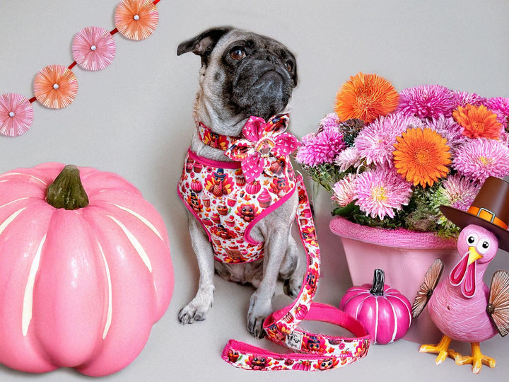 Thanksgiving dog harness - Pink Turkey