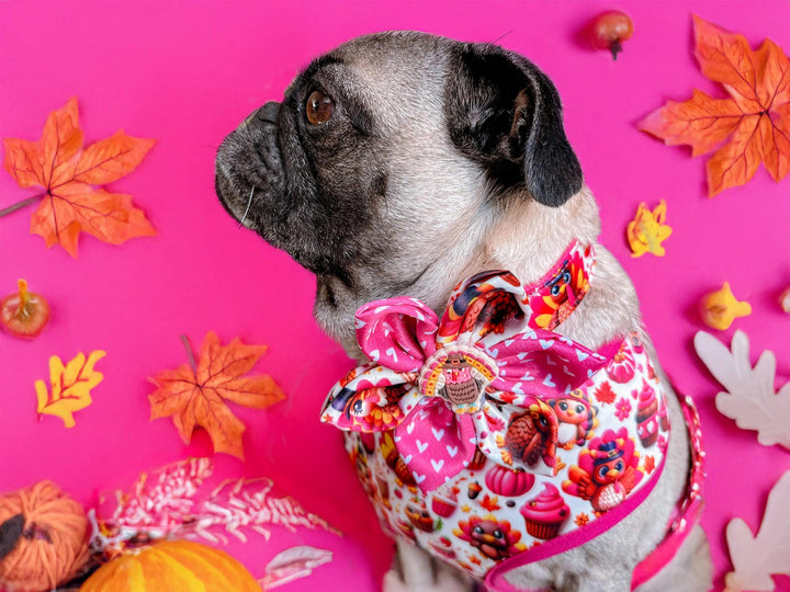 Thanksgiving dog collar with flower - Pink Turkey