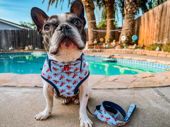 Nautical lobster dog harness leash set/ beach ocean dog lead and harness vest/ vacation sea world harness/ small medium custom dog harness