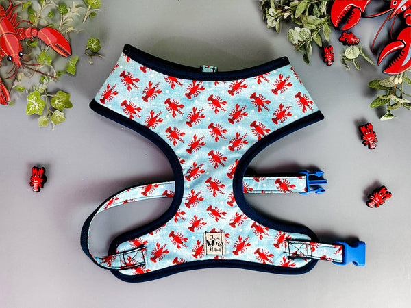 Dog harness - Lobsters
