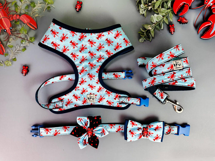 Dog harness - Lobsters