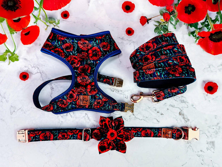 Dog harness - Hand drawn Poppy