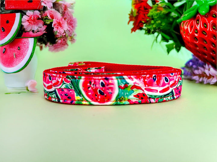 preppy Strawberry watermelon dog collar/ daisy flower girl dog collar/ floral food fruit dog collar/ large small dog collar/ puppy collar