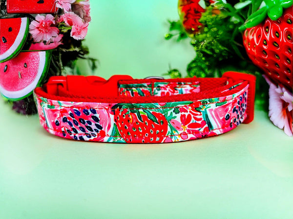 preppy Strawberry watermelon dog collar/ daisy flower girl dog collar/ floral food fruit dog collar/ large small dog collar/ puppy collar