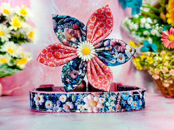 Dog collar with flower - Daisy flowers