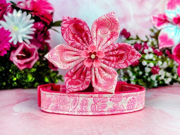 Rifle paper co neon pink Whimsical floral dog collar with flower/ Primavera Moxie dog collar/ girl personalized custom dog collar accessory
