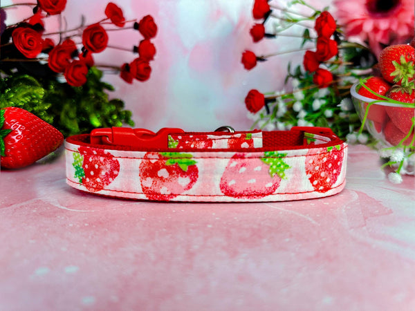 Strawberry cute dog collar/ daisy flower girl dog collar/ floral pink collar/ food fruit dog collar/ large small dog collar/ puppy collar