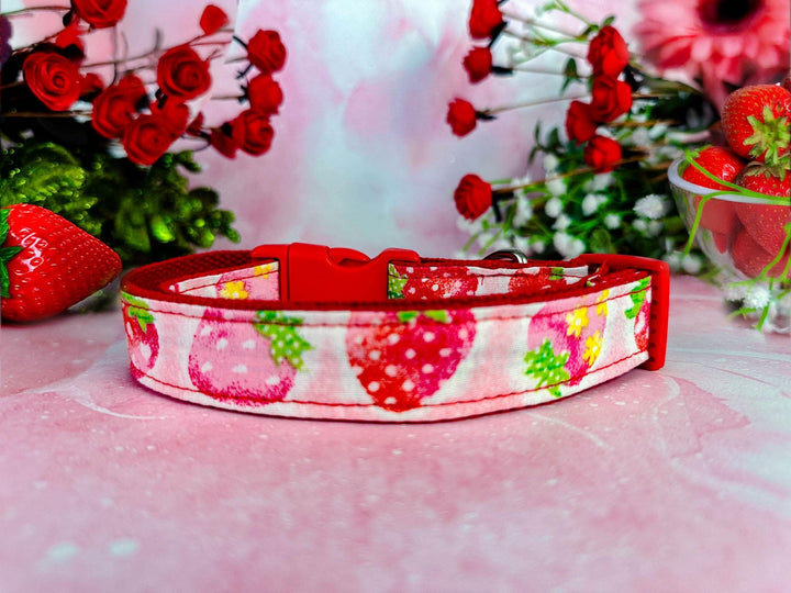 Strawberry cute dog collar/ daisy flower girl dog collar/ floral pink collar/ food fruit dog collar/ large small dog collar/ puppy collar