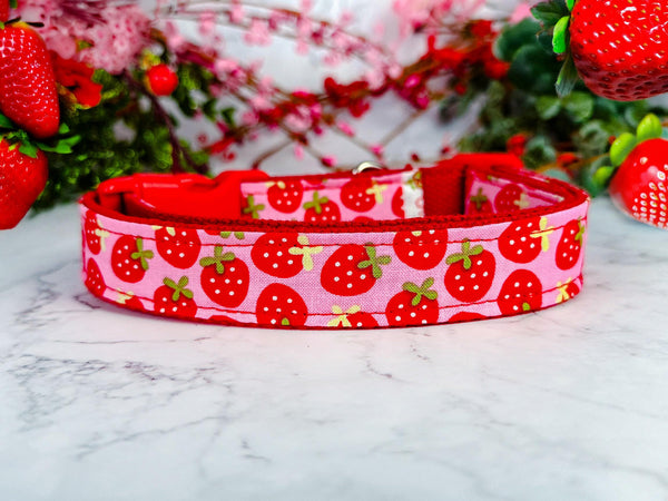 Strawberry cute dog collar/ daisy flower girl dog collar/ floral pink collar/ food fruit dog collar/ large small dog collar/ puppy collar