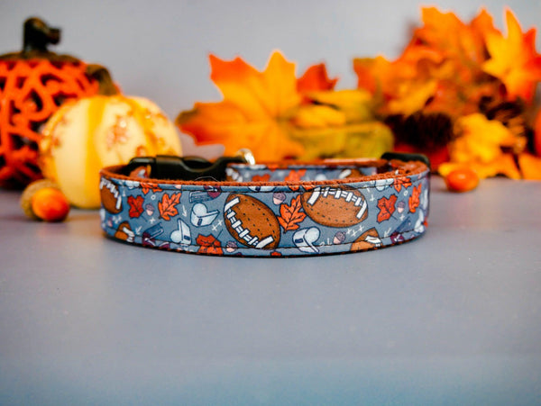 Fall football dog collar/ Autumn leaves acorns dog collar/ harvest thanksgiving dog collar/ girl boy large small dog collar gift accessories