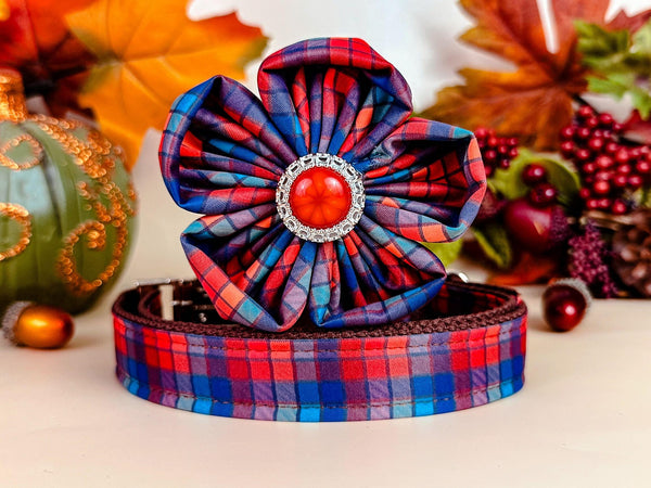 Autumn plaid dog collar flower/ fall tartan dog collar/ Thanksgiving harvest dog collar/ rainbow girl small large dog collar/ holiday collar