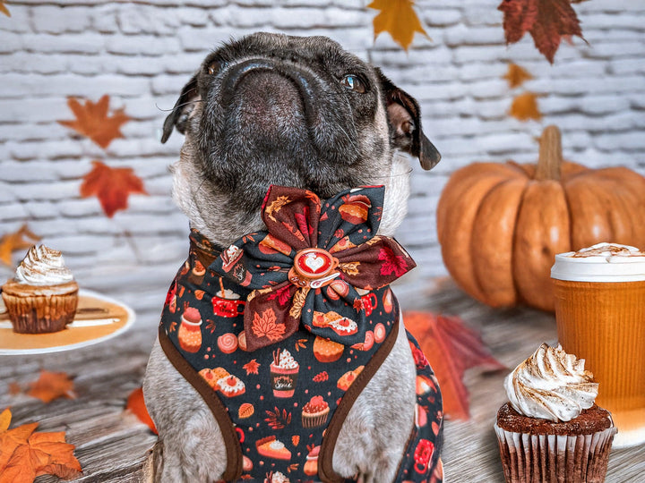 Fall pumpkin spice latte dog collar flower/ Autumn coffee pie cupcake dog collar