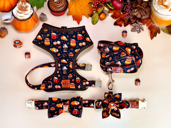 Fall pumpkin spice latte dog harness leash set/ autumn harvest boy girl harness and lead/ thanksgiving small medium dog harness vest gift
