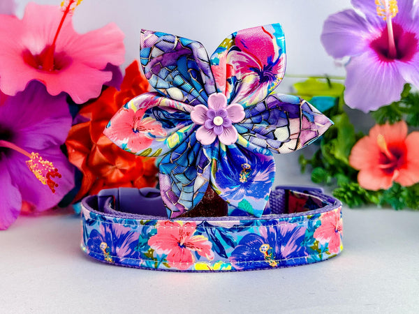Preppy hibiscus floral dog collar with flower/ summer tropical flower dog collar/ Hawaii girl beach dog collar/ pet accessory puppy gift
