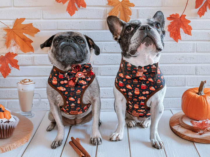 Fall pumpkin spice latte dog harness leash set/ autumn harvest boy girl harness and lead/ thanksgiving small medium dog harness vest gift