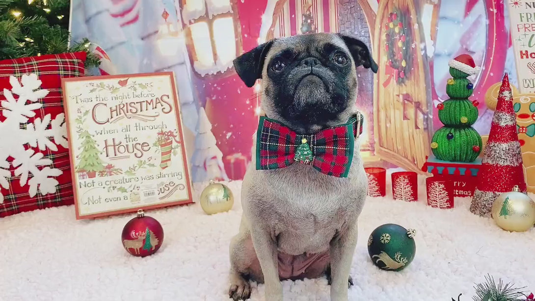 Christmas plaid dog collar bow tie/ Boy winter dog collar