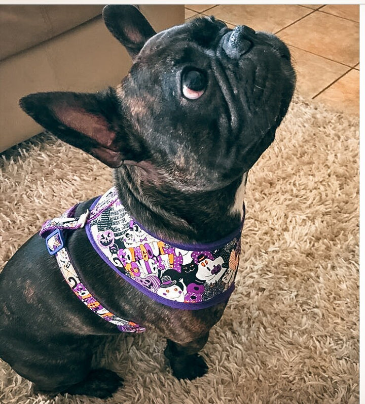 Halloween dog harness - Purple Ghost