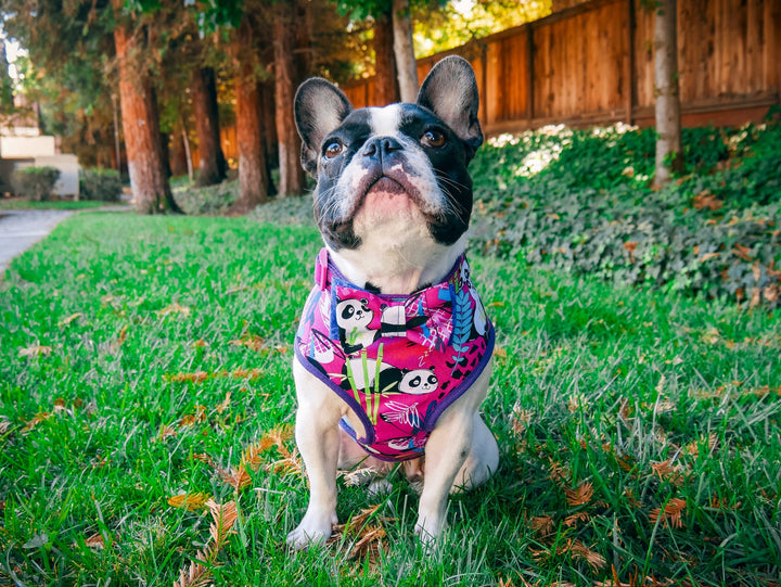 Pink Panda dog harness vest/ Girl dog harness/ cute dog harness/ Small puppy dog harness/ custom medium dog harness/ soft fun dog harness