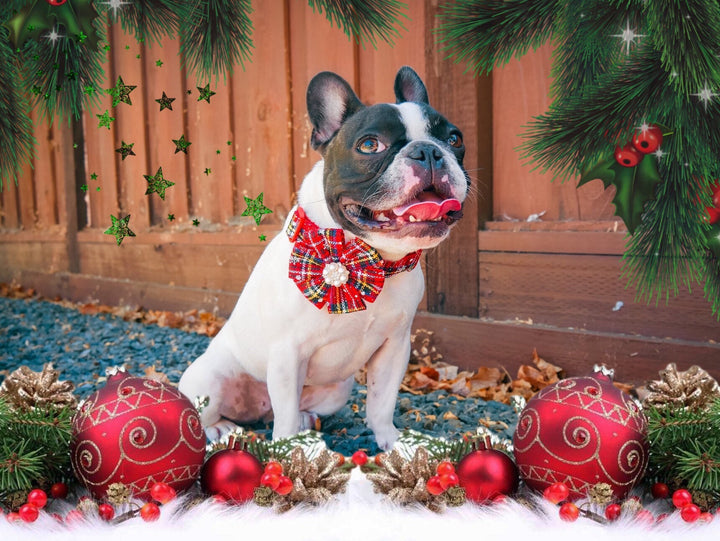 Red Plaid tartan dog collar/ Christmas dog collar Flower
