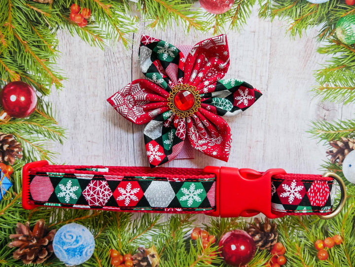 Christmas dog collar with flower - snowflake