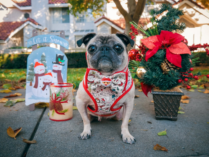 Christmas dog bow tie collar, White Christmas Santa dog collar, Winter Red dog collar, holiday boy dog collar, Christmas pet cat collar