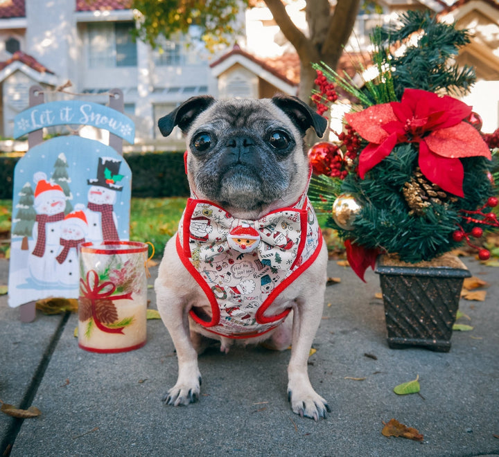 Christmas Santa dog harness vest, smal medium dog harness, boy girl puppy harness, red white dog harness, Winter holiday dog harness