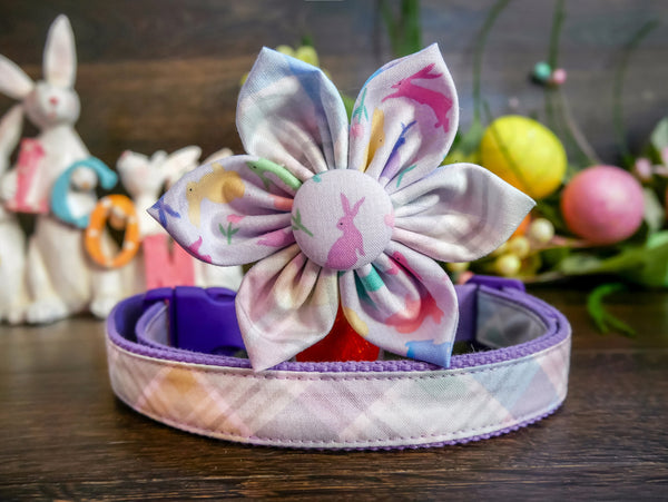 Easter dog collar with flower - colorful bunny
