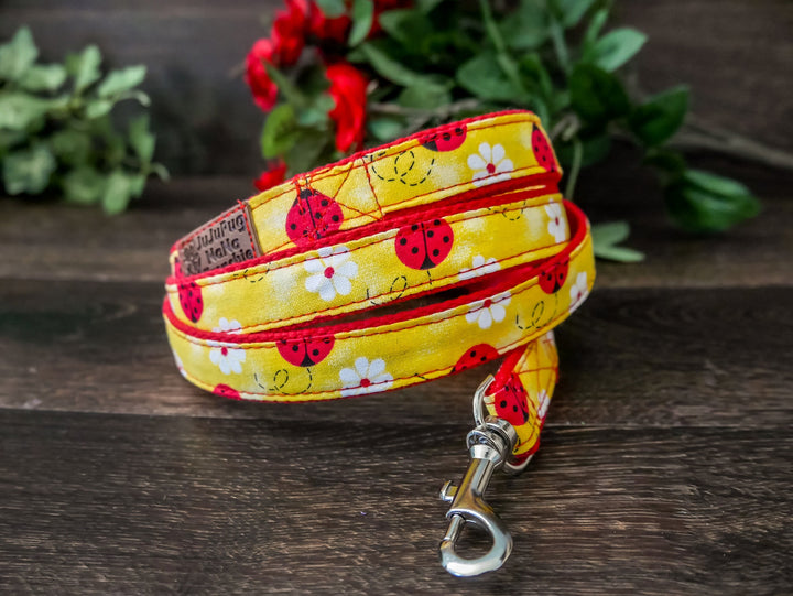 Ladybug and Daisy dog flower collar leash set