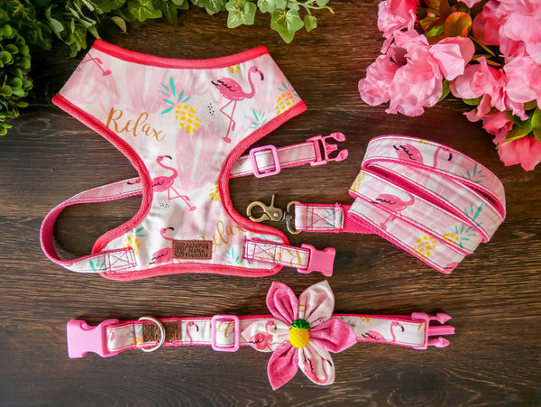 Flamingo dog Harness collar leash set, Girl dog harness vest, Pink tropical dog harness and leash, female dog lead and harness, puppy harnes