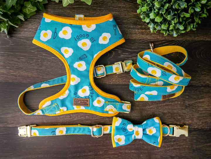 Blue Yellow Boy dog harness and leash set, fried egg dog harness, Cute Fun dog lead and harness set, Puppy small dog harness vest, bow tie