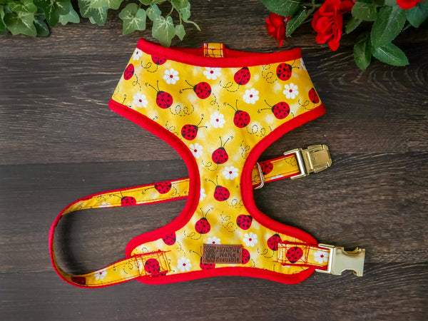 Yellow Girl dog harness vest, red ladybug Daisy dog harness, cotton fabric dog harness, Small puppy harness gift, custom medium dog harness