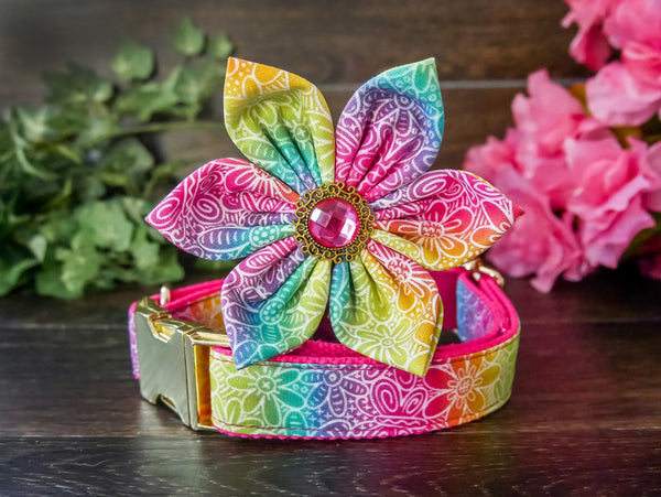 Rainbow dog collar with flower