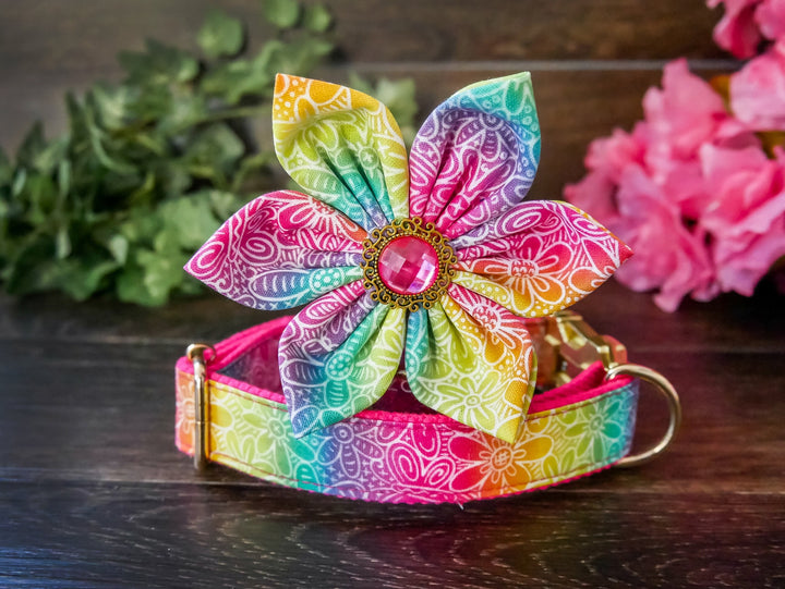 Rainbow dog collar with flower