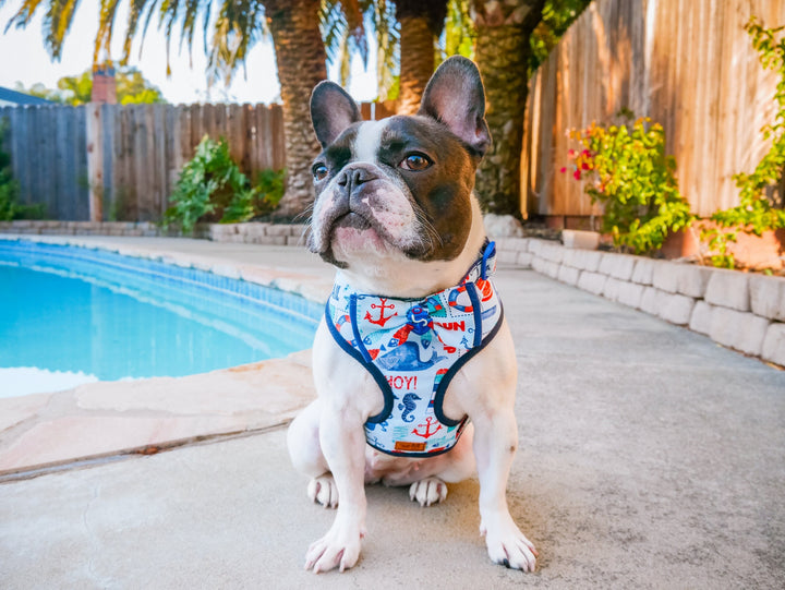 Nautical boy dog harness leash set/ small medium dog harness and leash