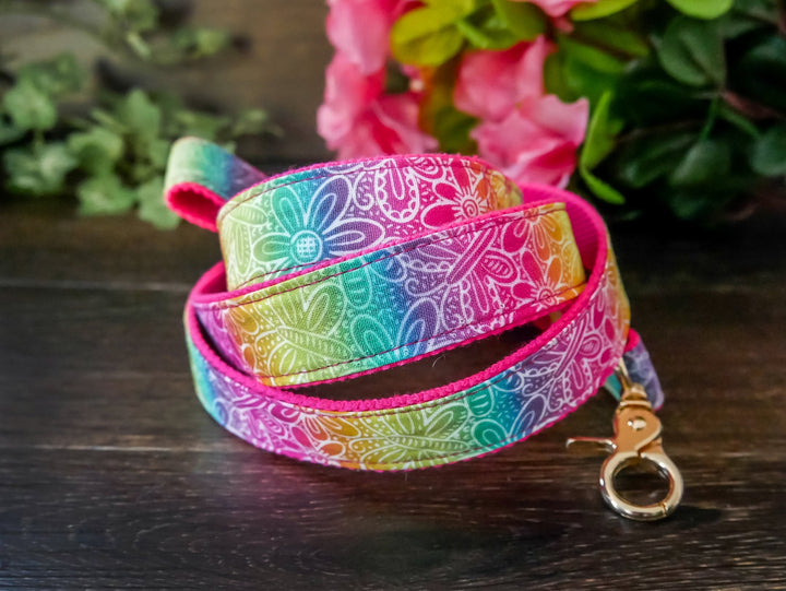 rainbow dog flower collar leash set